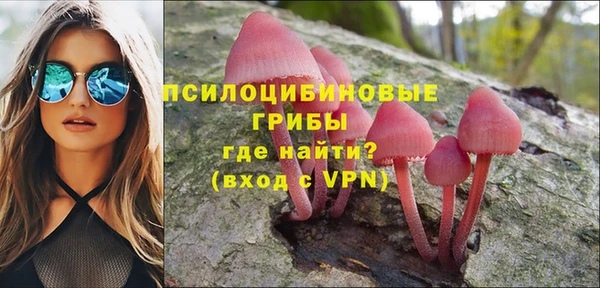 шишки Лагань