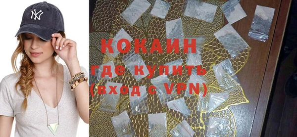 бошки Ладушкин