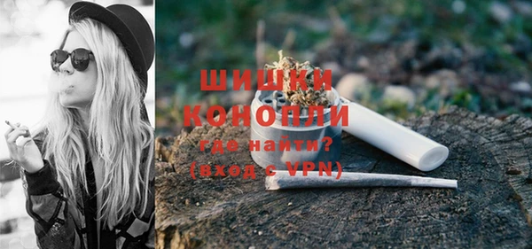 шишки Лагань