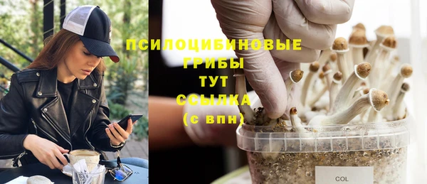 шишки Лагань
